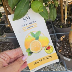 Lime mix
